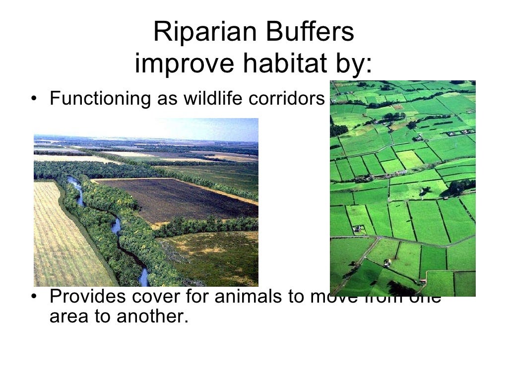 Habitat Fragmentation