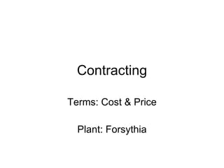 Contracting Terms: Cost & Price Plant: Forsythia 