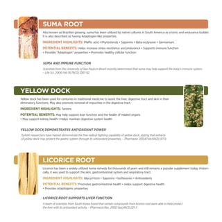 Suma Root
                 Also known as Brazilian ginseng, suma has been utilized by native cultures in South America as a tonic and endurance builder.
                 It is also described as having Adaptogen-like properties.
                 Ingredient Highlights: Pfaffic acid • Phytosterols • Saponins • Beta-ecdysone • Germanium
                 Potential Benefits: Helps increase stress resistance and endurance • Supports immune function
                 • Possible “Adaptogen” properties • Promotes healthy cellular function


                 Suma and Immune Function
                 Scientists from the University of Sao Paulo in Brazil recently determined that suma may help support the body’s immune system.
                 – Life Sci. 2006 Feb 16;78(12):1287-92.




YELLOW DOCK
Yellow dock has been used for centuries in traditional medicine to assist the liver, digestive tract and skin in their
eliminatory functions. May also promote removal of impurities in the digestive tract.
Ingredient Highlights: Tannins
Potential Benefits: May help support liver function and the health of related organs
• May support kidney health • Helps maintain digestive system health


Yellow Dock Demonstrates Antioxidant Power
Turkish researchers have helped demonstrate the free radical-fighting capability of yellow dock, stating that extracts
of yellow dock may protect the gastric system through its antioxidant properties. – Pharmazie. 2004 Feb;59(2):147-9.




                 licorice root
                 Licorice has been a widely utilized home remedy for thousands of years and still remains a popular supplement today. Histori-
                 cally, it was used to support the skin, gastrointestinal system and respiratory tract.
                 Ingredient Highlights: Glycyrrhizin • Saponins • Isoflavones • Antioxidants
                 Potential Benefits: Promotes gastrointestinal health • Helps support digestive health
                 • Provides adaptogenic properties


                 Licorice Root Supports Liver Function
                 A team of scientists from South Korea found that certain compounds from licorice root were able to help protect
                 the liver with its antioxidant activity. – Pharmacol Res. 2002 Sep;46(3):221-7.
 