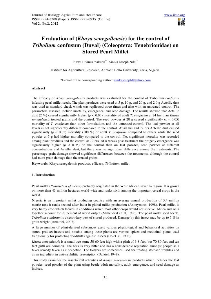 Research paper darkling beetle