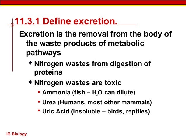 11.3 kidney fish health diagram 