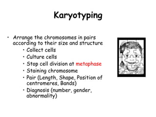 Karyotyping

• Arrange the chromosomes in pairs
  according to their size and structure
      • Collect cells
      • Culture cells
      • Stop cell division at metaphase
      • Staining chromosome
      • Pair (Length, Shape, Position of
        centromeres, Bands)
      • Diagnosis (number, gender,
        abnormality)
 