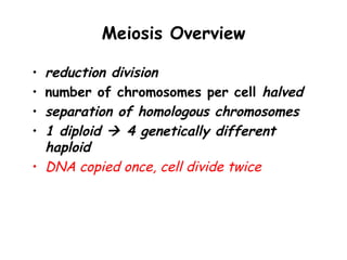 Meiosis Overview

• reduction division
• number of chromosomes per cell halved
• separation of homologous chromosomes
• 1 diploid  4 genetically different
  haploid
• DNA copied once, cell divide twice
 