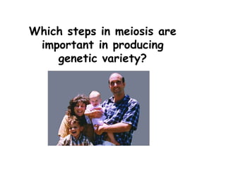 Which steps in meiosis are
 important in producing
    genetic variety?
 