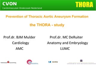 Prevention of Thoracic Aortic Aneurysm Formation the THORA - study   Prof.dr. BJM Mulder     Prof.dr. MC DeRuiter Cardiology A natomy and Embryology   AMC    LUMC   THORA 