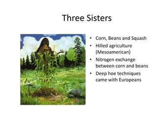 Three Sisters
       • Corn, Beans and Squash
       • Hilled agriculture
         (Mesoamerican)
       • Nitrogen exchange
         between corn and beans
       • Deep hoe techniques
         came with Europeans
 