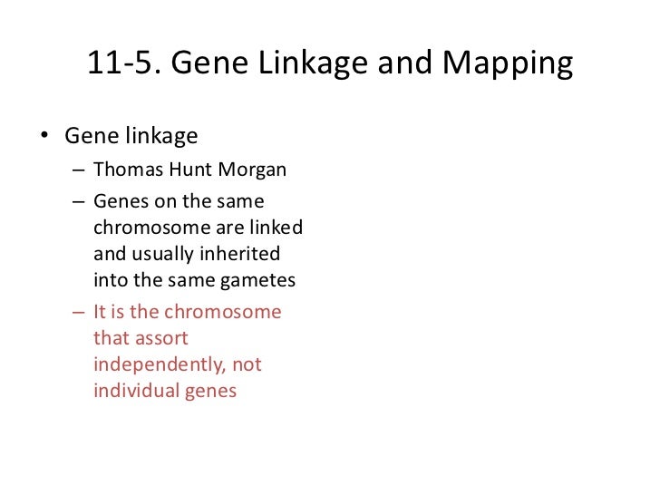 11 5 linkage and gene maps 11 5 Linkage 11 5 linkage and gene maps