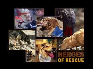 OF RESCUE 