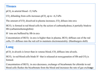 Tissues
pCO2 in arterial blood ∼5,3 kPa
CO2 difunding from cells increases pCO2 up to ∼6,3 kPa
The amount of CO2 dissolved in plasma increases, CO2 difuses into ercs
HCO3- is formed in red blood cells by the action of carboanhydrase, it partially binds to
Hb (carbaminohemoglobin)
H+ ions are buffered by Hb in ercs
Concentration of HCO3- in ercs is higher than in plasma, HCO3- diffuses out of the red
cells, Cl- diffuses into the red cell to maintain electroneutrality. (Hamburgers shift)

Lung
pCO2 in alveols is lower than in venous blood, CO2 diffuses into alveols.
HCO3- in red blood cells binds H+, that is released at reoxygenation of Hb and CO2 is
formed.
Concentration of HCO3- in ercs decreases, exchange of bicarbonate for chloride in red
blood cells flushes the bicarbonate from the blood and increases the rate of gas exchange
                                                                                      11
 