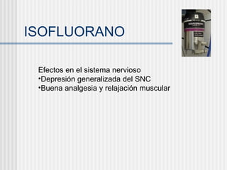 ISOFLUORANO Efectos en el sistema nervioso Depresión generalizada del SNC Buena analgesia y relajación muscular 