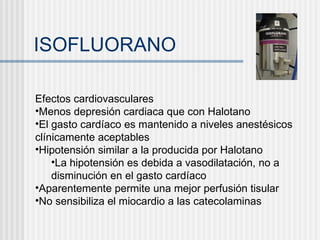 ISOFLUORANO Efectos cardiovasculares Menos depresión cardiaca que con Halotano El gasto cardíaco es mantenido a niveles anestésicos clínicamente aceptables Hipotensión similar a la producida por Halotano La hipotensión es debida a vasodilatación, no a disminución en el gasto cardíaco Aparentemente permite una mejor perfusión tisular No sensibiliza el miocardio a las catecolaminas 