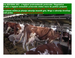 ulative 852/2004 (EC) o higijeni prehrambenih proizvoda i Regulative
 /2004 (EC) o higijeni animalnih proizvoda mleko mora da potiče: potpuno
        (EC)
avih muznih grla, pravilno hranjenih i koja su gaje u čistoj staji ili na paši.
              grla,                                                       paši.
  nje kvaliteta mleka je pitanje zdravlja muznih grla. Briga o zdravlju životinja
                                                  grla.
sprovodi preko politike menadžmenta kvaliteta.
                                         kvaliteta.
 