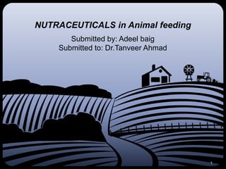 NUTRACEUTICALS in Animal feeding
       Submitted by: Adeel baig
    Submitted to: Dr.Tanveer Ahmad




                                     1
 