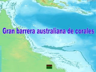 Gran barrera australiana de corales 