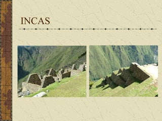 INCAS
 