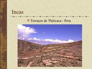 Incas
        Terraços de Thiticaca - Peru
 
