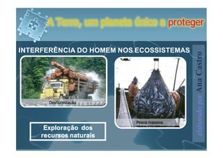 A Terra, um planeta único a proteger

INTERFERÊNCIA DO HOMEM NOS ECOSSISTEMAS




                                          elaborado por Ana Castro
      Exploração dos
     recursos naturais
 