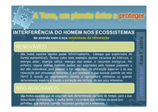 A Terra, um planeta único a proteger

INTERFERÊNCIA DO HOMEM NOS ECOSSISTEMAS
      de acordo com a sua velocidade de renovação




                                                    elaborado por Ana Castro
 RENOVÁVEIS




 NÃO RENOVÁVEIS
 