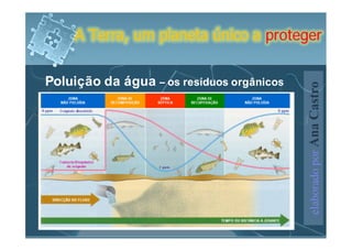 A Terra, um planeta único a proteger


Poluição da água – os resíduos orgânicos




                                           elaborado por Ana Castro
 