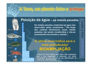 A Terra, um planeta único a proteger

Poluição da água – os metais pesados




                                                              elaborado por Ana Castro
        Os metais pesados existentes na água são
        absorvidos pelos produtores… Ao longo
        das cadeias alimentares esses metais
        pesados vão sendo transferidos e vão-se
        acumulando nos tecidos e células…


        O último nível trófico será o
             mais prejudicado!
             BIOAMPLIAÇÃO
          A foca (4º nível trófico) para além dos compostos
          que o seu organismo já absorveu, vai ainda
          concentrar os que provêm da sua alimentação! O
          urso será o mais afectado!
 