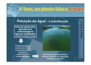 A Terra, um planeta único a proteger


  Poluição da água – a eutrofização




                                                                elaborado por Ana Castro
Perto de explorações
   agrícolas há a
  contaminação da
água por fertilizantes
(fosfatos, nitratos e outros)




Proliferam algas e
outros seres vivos
(a ponto de quase
    cobrirem a
  superfície dos                 Diminuição da luminosidade e
 cursos de água)!               desaparecimento da vegetação
                                     aquática submersa!
 