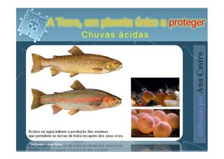A Terra, um planeta único a proteger
                          Chuvas ácidas




                                              elaborado por Ana Castro
in Cientic – José Salsa
 