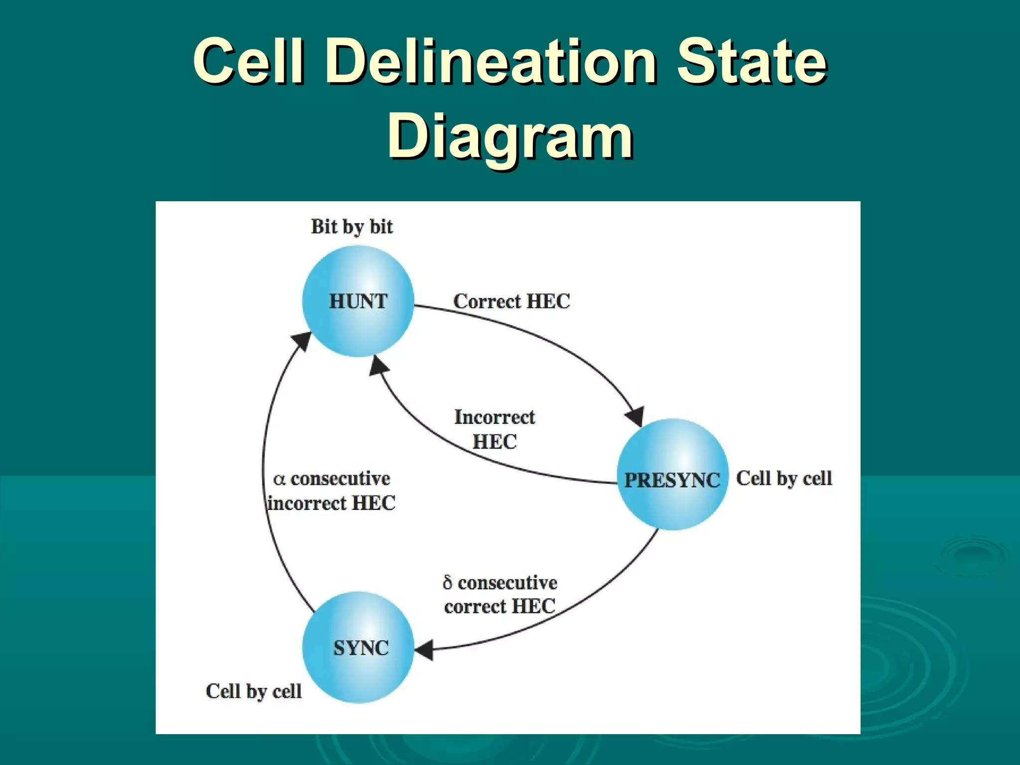 Cell Delineation StateCell Delineation State
DiagramDiagram
 