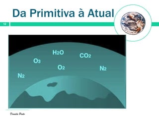 Da Primitiva à Atual
12
Daniela Pinto
 