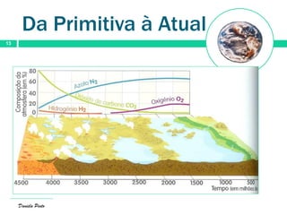 Da Primitiva à Atual
13
Daniela Pinto
 