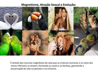 Magnetismo, Atração Sexual e Evolução:
É através dos recursos magnéticos do sexo que as criaturas humanas e os seres dos
reinos inferiores se atraem, formando os casais e as famílias, garantindo a
preservação da vida no planeta e no Universo.
 