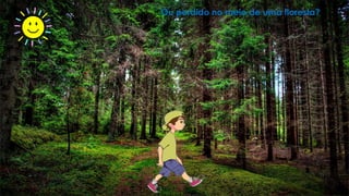 Ou perdido no meio de uma floresta?
 