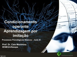 Condicionamento
operante
Aprendizagem por
imitação
Prof. Dr. Caio Maximino
IESB/Unifesspa
Processos Psicológicos Básicos – Aula XI
 