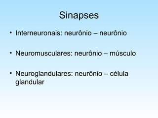 Sinapses
• Interneuronais: neurônio – neurônio
• Neuromusculares: neurônio – músculo
• Neuroglandulares: neurônio – célula
glandular
 