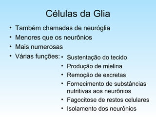Células da Glia
• Também chamadas de neuróglia
• Menores que os neurônios
• Mais numerosas
• Várias funções: • Sustentação do tecido
• Produção de mielina
• Remoção de excretas
• Fornecimento de substâncias
nutritivas aos neurônios
• Fagocitose de restos celulares
• Isolamento dos neurônios
 