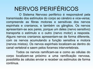 NERVOS PERIFÉRICOS
O Sistema Nervoso periférico é responsável pela
transmissão dos estímulos do corpo ao cérebro e vice-versa;
compreende as fibras motoras e sensitivas dos nervos
espinhais e cranianos, e também os gânglios. Os nervos
apresentam-se aos pares, porque um deles (nervo sensitivo)
transporta o estímulo e o outro (nervo motor) a resposta.
Alguns nervos cranianos apresentam-se de forma diferente,
com os nervos acumulando a função sensitiva e motora
(nervos mistos). Os nervos espinhais localizam-se dentro do
canal vertebral e saem pelos forames intervertebrais.
Todos os nervos ramificam-se e como as células do
corpo localizam-se próximo a uma ramificação nervosa,
possibilita às células enviar e receber os estímulos de forma
contínua.
 
