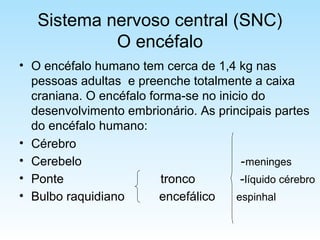 Sistema nervoso central (SNC)
O encéfalo
• O encéfalo humano tem cerca de 1,4 kg nas
pessoas adultas e preenche totalmente a caixa
craniana. O encéfalo forma-se no inicio do
desenvolvimento embrionário. As principais partes
do encéfalo humano:
• Cérebro
• Cerebelo -meninges
• Ponte tronco -líquido cérebro
• Bulbo raquidiano encefálico espinhal
 