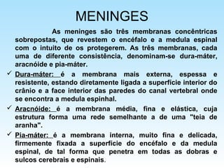 MENINGES
As meninges são três membranas concêntricas
sobrepostas, que revestem o encéfalo e a medula espinal
com o intuito de os protegerem. As três membranas, cada
uma de diferente consistência, denominam-se dura-máter,
aracnóide e pia-máter.
 Dura-máter: é a membrana mais externa, espessa e
resistente, estando diretamente ligada a superfície interior do
crânio e a face interior das paredes do canal vertebral onde
se encontra a medula espinhal.
 Aracnóide: é a membrana média, fina e elástica, cuja
estrutura forma uma rede semelhante a de uma "teia de
aranha".
 Pia-máter: é a membrana interna, muito fina e delicada,
firmemente fixada a superfície do encéfalo e da medula
espinal, de tal forma que penetra em todas as dobras e
sulcos cerebrais e espinais.
 