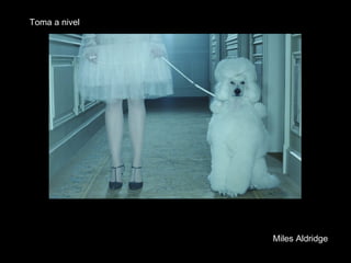 Miles Aldridge Toma a nivel 