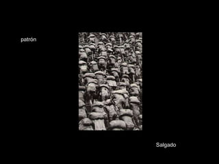 Salgado patrón 