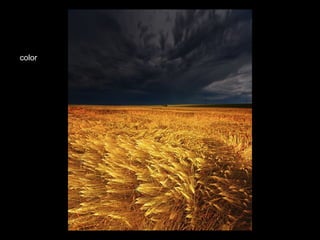 color 