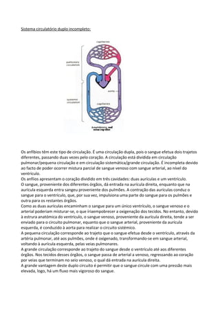 Sistema circulatório duplo incompleto:

Os anfíbios têm este tipo de circulação. É uma circulação dupla, pois o sangue efetua dois trajetos
diferentes, passando duas vezes pelo coração. A circulação está dividida em circulação
pulmonar/pequena circulação e em circulação sistemática/grande circulação. É incompleta devido
ao facto de poder ocorrer mistura parcial de sangue venoso com sangue arterial, ao nível do
ventrículo.
Os anfíios apresentam o coração dividido em três cavidades: duas aurículas e um ventrículo.
O sangue, proveniente dos diferentes órgãos, dá entrada na aurícula direita, enquanto que na
aurícula esquerda entra sangeu proveniente dos pulmões. A contração das aurículas conduz o
sangue para o ventrículo, que, por sua vez, impulsiona uma parte do sangue para os pulmões e
outra para os restantes órgãos.
Como as duas aurículas encaminham o sangue para um único ventrículo, o sangue venoso e o
arterial poderiam misturar-se, o que íriaempobrecer a oxigenação dos tecidos. No entanto, devido
à estrura anatómica do ventrículo, o sangue venoso, proveniente da aurícula direita, tende a ser
enviado para o circuito pulmonar, equanto que o sangue arterial, proveniente da aurícula
esquerda, é conduzido à aorta para realizar o circuito sistémico.
A pequena circulação corresponde ao trajeto que o sangue efetua desde o ventrículo, através da
artéria pulmonar, até aos pulmões, onde é oxigenado, transformando-se em sangue arterial,
voltando à aurícula esquerda, pelas veias pulmonares.
A grande circulação corresponde ao trajeto do sangue desde o ventrículo até aos diferentes
órgãos. Nos tecidos desses órgãos, o sangue passa de arterial a venoso, regressando ao coração
por veias que terminam no seio venoso, o qual dá entrada na aurícula direita.
A grande vantagem deste duplo circuito é permitir que o sangue circule com uma pressão mais
elevada, logo, há um fluxo mais vigoroso do sangue.

 