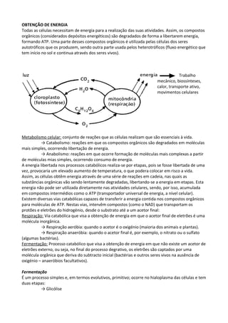 OBTENÇÃO DE ENERGIA
Todas as células necessitam de energia para a realização das suas atividades. Assim, os compostos
orgânicos (considerados depósitos energéticos) são degradados de forma a libertarem energia,
formando ATP. Uma parte desses compostos orgânicos é utilizada pelas células dos seres
autotróficos que os produzem, sendo outra parte usada pelos heterotróficos (fluxo energético que
tem início no sol e continua através dos seres vivos).

Trabalho
mecânico, biossínteses,
calor, transporte ativo,
movimentos celulares

Metabolismo celular: conjunto de reações que as células realizam que são essenciais à vida.
→ Catabolismo: reações em que os compostos orgânicos são degradados em moléculas
mais simples, ocorrendo libertação de energia.
→ Anabolismo: reações em que ocorre formação de moléculas mais complexas a partir
de moléculas mias simples, ocorrendo consumo de energia.
A energia libertada nos processos catabólicos realiza-se por etapas, pois se fosse libertada de uma
vez, provocaria um elevado aumento de temperatura, o que podera colocar em risco a vida.
Assim, as células obtêm energia através de uma série de reações em cadeia, nas quais as
substâncias orgânicas vão sendo lentamente degradadas, libertando-se a energia em etapas. Esta
energia não pode ser utilizada diretamente nas atividades celulares, sendo, por isso, acumulada
em compostos intermédios como o ATP (transportador universal de energia, a nível celular).
Existem diversas vias catabólicas capazes de transferir a energia contida nos compostos orgânicos
para moléculas de ATP. Nestas vias, intervêm compostos (como o NAD) que transportam os
protões e eletrões do hidrogénio, desde o substrato até a um acetor final:
Respiração: Via catabólica que visa a obtenção de energia em que o acetor final de eletrões é uma
molécula inorgânica.
→ Respiração aeróbia: quando o acetor é o oxigénio (maioria dos animais e plantas).
→ Respiração anaeróbia: quando o acetor final é, por exemplo, o nitrato ou o sulfato
(algumas bactérias).
Fermentação: Processo catabólico que visa a obtenção de energia em que não existe um acetor de
eletrões externo, ou seja, no final do processo degrativo, os eletrões são captados por uma
molécula orgânica que deriva do subtracto inicial (bactérias e outros seres vivos na ausência de
oxigénio – anaeróbios facultativos).
Fermentação
É um processo simples e, em termos evolutivos, primitivo; ocorre no hialoplasma das células e tem
duas etapas:
→ Glicólise

 