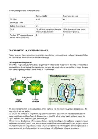 Balanço nergético de ATP's formados:
Fermentação

Respiração aeróbia

Glicólise

4–2

4–2

2 ciclos de Krebs

2

------------------------------------------

Cadeia Respiratória

34

------------------------------------------

Total

38 (40% da energia total numa 2 (2% da energia total numa
molécula de glicose)
molécula de glicose)

Total de ATP necessário para
desencadear o processo

2

2

TROCAS GASOSAS EM SERES MULTICELULARES
Todos os seres vivos necessitam necessitam de oxigénio e compostos de carbono nas suas células,
de removerem o dióxido de carbono e de energia.
Trocas gasosas nas plantas
Durante a respiração, a planta capta oxigénio e liberta dióxido de carbono; durante a fotossíntese
capta dióxido de carbono e liberta oxigenio; durante a transpiração, a planta liberta vapor de água
que tinha captado pela raíz assim como os sais minerais.

Os estomas controlam as trocas gasosas entre a planta e o meio externo, graças à capacidade de
que têm de abrir e fechar.
As células das folhas e os respetivos espaços intercelulares possuem um elevado conteúdo em
água, devido ao contínuo fluxo de água desde a raiz até à folha, o que leva à saída de vapor de
água da folha para o exterior, por transpiração.
O movimento de abertura e fecho dos estomas é condicionado por alterações na turgescência das
células estomáticas/guarda, que têm uma estrutura diferente das células vizinhas, já que possuem
muitos cloroplastos e a parte da parede celular que delimita o ostíolo (pore) é mais espessa que a
parte encostada às células vizinhas. A existência de microfibrilas de celulose provoca o

 