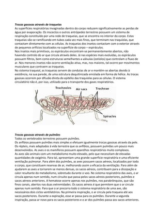 Trocas gasosas através de traqueias
As superfícies respiratórias invaginadas dentro do corpo reduzem significativamente as perdas de
água por evaporação. Os inscectos e outros antrópedes terrestres possuem um sistema de
respiração constituído por uma rede de traqueias, que se encontra no interior do corpo. Estas
traqueias vão-se ramificando em tubos cada vez mais finos, que terminam nas traquíolas, que
contactam diretamente com as células. As traqueias dos insetos contactam com o exterior através
de pequenos orifícios localizados na superfície do corpo – espiráculos.
Nos insetos mais primitivos, os espiráculos encontram-se permanentemente abertos, não
havendo controlo do ar que circula através deles. Já nas espécies mais evoluídas, os espiráculos
possuem filtros, bem como estruturas semelhantes a válvulas (ostíolos) que controlam o fluxo de
ar. Nos menores insetos não ocorre ventilação ativa, mas, nos maiores, tal ocorre por movimentos
musculares que contraem as traqueias.
No sistema traqueal, as traqueias servem de condutas de ar e mantêm-se abertas devido à
existência, na sua parede, de uma estrutura dequitinizada enrolada em forma de hélice. As trocas
gasosas ocorrem por difusão direta do epitélio das traquíolas para as células. O sistema
circulatório não é, por isso, utilizado para o transporte dos gases respiratórios.

Trocas gasosas através de pulmões
Todos os vertebrados terrestres possuem pulmões.
Os anfíbios possuem pulmões mais simples e efetuam igualmente trocas gasosas através da pele.
Os répteis, mais adaptados à vida terrestre que os anfíbios, possuem pulmões um pouco mais
desenvolvidos. As aves e os mamíferos possuem aparelhos respiratórios muito complexos.
As aves são animais com um metabolismo muito elevado, pelo que necessitam de elevadas
quantidades de oxigénio. Para tal, apresentam uma grande superfície respiratória e uma eficiente
ventilação pulmonar. Para além dos pulmões, as aves possuem sacos aéreos, localizados por todo
o corpo, que constituem reservas de ar, melhorando assim a eficacia da ventilação. Para além de
ajudarem as aves a tornarem-se menos densas, os sacos aéreos, contribuem para a dissipação e
calor resultante do metabolismo, sobretudo durante o voo. No sistema respiratório das aves, o ar
circula apenas num sentido, num circuito que passa pelos sacos aéreos posteriores, pulmões e
sacos aéreos anteriores. A hematose ocorre apenas nos pulmões, nos parabrônquios, que são
finos canais, abertos nas duas extremidades. Os sacos aéreos é que permitem que o ar circule
apenas num sentido. Para que o ar precorra todo o sistema respiratório de uma ave, são
necessários dois ciclos ventilatórios. Na primeira inspiração, o ar circula pela traqueia até aos
sacos posteriores. Durante a expiração, esse ar passa para os pulmões. Durante a segunda
inspiração, passa ar novo para os sacos posteriores e o ar dos pulmões passa aos sacos anteriores.

 
