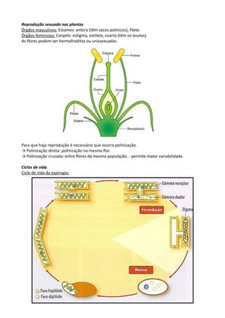 Reprodução sexuada nas plantas
Órgãos masculinos: Estames: antera (têm sacos polínicos), filete.
Órgãos femininos: Carpelo: estigma, estilete, ovário (têm os óvulos).
As flores podem ser hermafroditas ou unissexuadas.

Para que haja reprodução é necessário que ocorra polinização.
→ Polinização direta: polinização na mesma flor.
→ Polinização cruzada: entre flores da mesma população. - permite maior variabilidade.
Ciclos de vida
Ciclo de vida da espirogia:

 