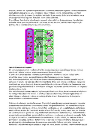 crivosos, através das ligações citoplasmáticas. O aumento da concentração de sacarose nas células
dos tubos crivosos provoca uma entrada de água, vinda do xilema, nestas células, que ficam
túrgidas. A pressão de turgescência obriga a solução de sacarose a deslocar-se através da placa
crivosa para a célula seguinte do tubo e assim sucessivamente.
O sentido do fluxo é determinado pelas concentrações relativas da sacarose que é produzida e
utilizada, o que gera um gradiente de concentração descrescente, desde o local de produção
(folhas) até ao local de consumo ou armazenamento.

TRANSPORTE NOS ANIMAIS
Os animais necessitam de receber nutrientes e oxigénio para as suas células e têm de eliminar
dióxido de carbono e outros produtos resultantes do metabolismo.
A forma mais eficaz de estas substâncias atravessarem a membrana celular é sob a forma
dissolvida, o que implica que as células sejam banhadas por um meio líquido.
Nos animais mais simples, não existe um sistema de transporte especializado, pois têm poucas
camadas de células e o facto de estarem em contacto direto com o meio permite que o oxigénio
se difunda, de forma direta, da água para as células. Os nutrientes difundem-se da cavidade para
gatrovascular para as células e os produtos de excreção, resultantes do metabolismo, são lançados
diretamente no meio.
Nos animais mais complexos existem orgãos especializados na absorção de nutrientes e oxigénio e
na excreção de substâncias tóxicas. A condução destas substâncias, entre os órgãos onde são
absorvidos e as células do resto do organismo, é feita através de um sistema de transporte
especializado – o sistema circulatório.
Sistemas circulatórios abertos/lacunares: A hemolinfa abandona os vasos sanguíneos e contacta
diretamente com as células. O líquido circulante é designado hemolinfa por não existir qualquer
diferença entre o sangue e a linfa. A hemolinfa é bombeada por um coração tubular, ao longo de
vasos, até aos tecidos. Ao chegar aos tecidos, a hemolinfa sai dos vasos e passa para um sistema
de cavidade/lacunas que no seu conjunto formam o hemocélio. No hemocélio, a hemolinfa entra
em contacto com as células, fornecendo-lhes nutrientes e recebendo produtos de excreção. Após
a irrigação dos tecidos, a hemolinfa entra novamente no coração tubular, através dos ostíolos
(orifícios do coração). A entrada da hemolinfa no coração ocorre devido à força de sucção que é
gerada quando este órgão relaxa. Seguidamente, os ostíolos fecham, o coração contrai e a
hemolinfa é novamente impulsionada ao longo dos vasos. Nestes sistemas, a hemolinfa tem pouca

 