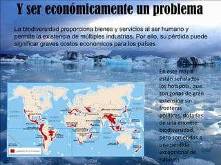 Y ser económicamente un problema
La biodiversidad proporciona bienes y servicios al ser humano y
permite la existencia de múltiples industrias. Por ello, su pérdida puede
significar graves costos económicos para los países
En este mapa
están señalados
los hotspots, que
son zonas de gran
extensión sin
fronteras
políticas, dotadas
de una enorme
biodiversidad,
pero sometidas a
una pérdida
excepcional de
hábitats
 