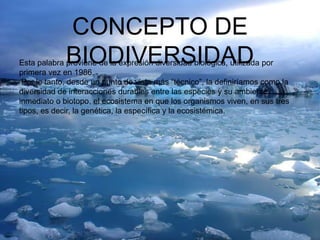 CONCEPTO DE
BIODIVERSIDADEsta palabra proviene de la expresión diversidad biológica, utilizada por
primera vez en 1986.
Por lo tanto, desde un punto de vista más “técnico”, la definiríamos como la
diversidad de interacciones durables entre las especies y su ambiente
inmediato o biotopo, el ecosistema en que los organismos viven, en sus tres
tipos, es decir, la genética, la específica y la ecosistémica.
 