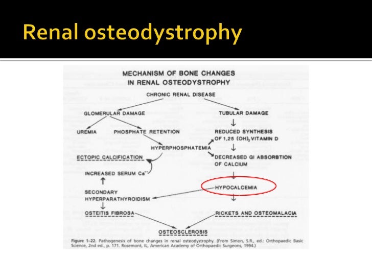 blood calcium, phosphorus, and magnesium deded