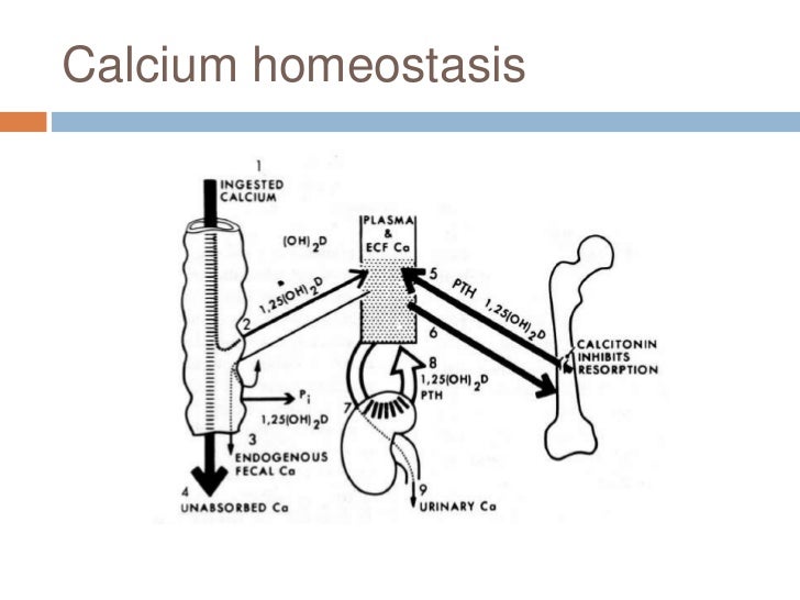 blood calcium, phosphorus, and magnesium deded